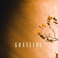 Gratefulness Background Images