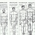 Greek Hero Body Proportions