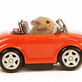 Hamster Car Kids