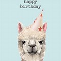 Happy 15th Birthday Alpaca