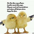 Happy New Year Meme with Good Wishes