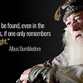 Harry Potter Quotes Dumbledore Deathly Hallows