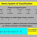 Henry Classification System
