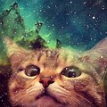 High Quality Cat Space Wallpaper