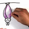 How to Draw a Bat Hanging Upside Down