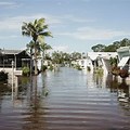 Hurricane Irma Naples FL