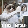 I Lost My Cat Meme