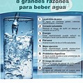 Importancia De Tomar Agua
