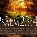 Inspirational Bible Verses From Psalms