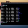 Linux Root Directory