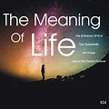 Meaning of Life Art