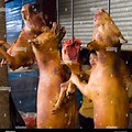Meat Market Dogs From China