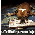 More Coffee Please Funny