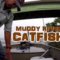 Muddy River Catfishing