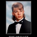 Mullet Hair Cut Meme