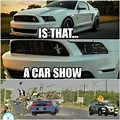 Mustang Old Vs. New Meme