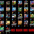 NES Black Box Games