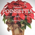National Poinsettia Day Art