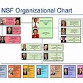 National Science Foundation Org Chart