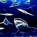 Neon Blue and Black Background Shark