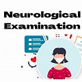Neurological Test Icon