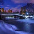 New York Central Park Winter Night