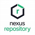 Nexus Registry Logo