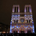 Notre Dame Cathedral Night Light