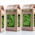 Organic Packaging Design for Food