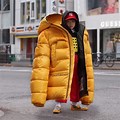Oversized Puffer Jacket Meme