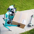 Package Delivery Robots