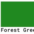 Pantone Forest Green Colour Chart