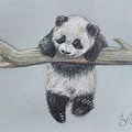 Pen Drawings of Love Panda