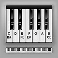Piano Keyboard a Single One