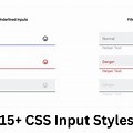 Pin Input CSS Style