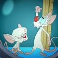 Pinky and the Brain Theme Song