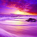 Purple Beach Sunset Wallpaper for PC