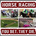 Quotes Against Horse Racing