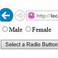 Radio Button Male or Female in HTML