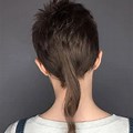 Rat Tail with Long Hair