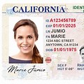 Real ID Identification Card