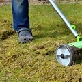 Removing Moss From Lawn