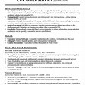 Resume for It Customer Service Examples