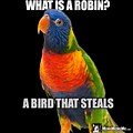 Robin Bird Meme Tweeted