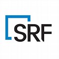 SRF Consulting Group Logo