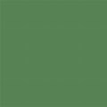 Sage Green Solid Color