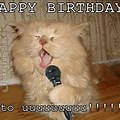 Send Cats Singing Happy Birthday