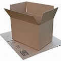 Shipment Carton