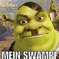 Shrek Meme Bilder