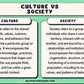 Similarities Between Culture and Gender